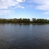 Der Rhein, fast wie "An's Meer kommen" mit den ganzen Möwen und Schiffen