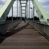 Niehler Hafenbrücke, grün und holzig